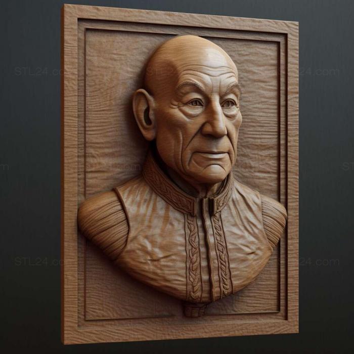 Characters (captain picard 1, HERO_1229) 3D models for cnc